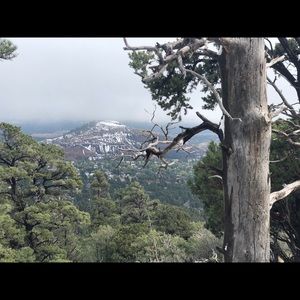 Meet your Posher, Christal